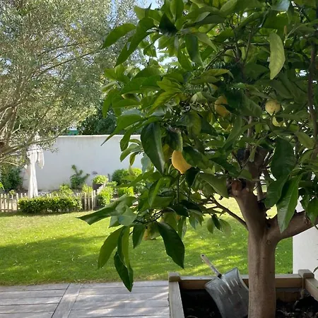 Villa Maison Secret Du Jardin *